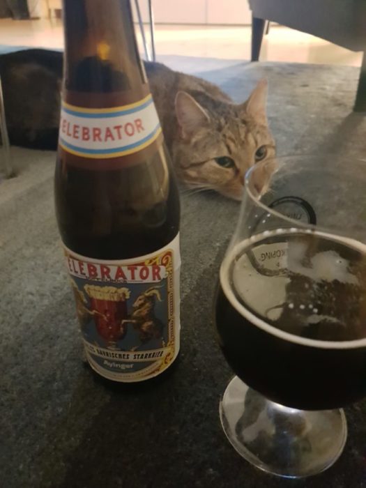 Läs mer om artikeln Celebrator