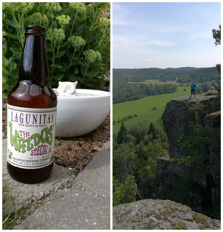 Du visar för närvarande Lagunitas Waldos special ale