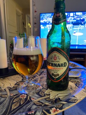 Läs mer om artikeln Bernard Kvasnicový ležák