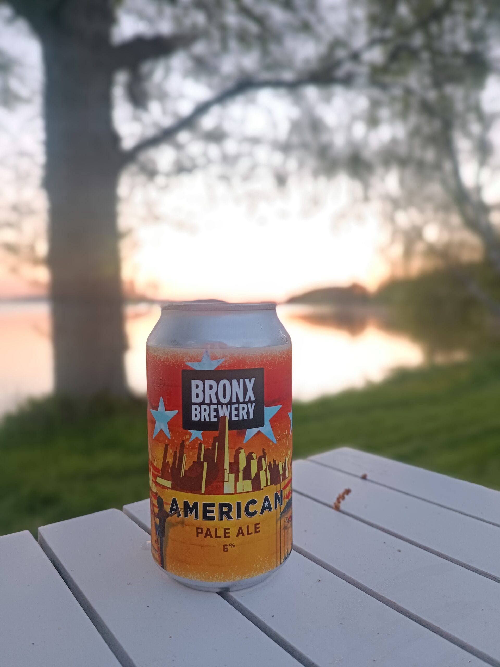 Läs mer om artikeln American pale ale