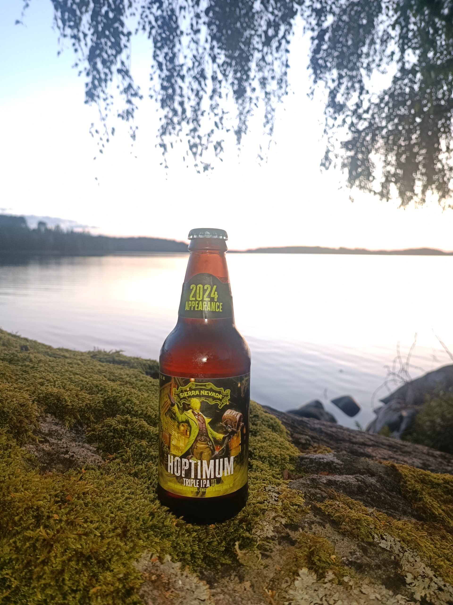 Läs mer om artikeln Hoptimum triple ipa