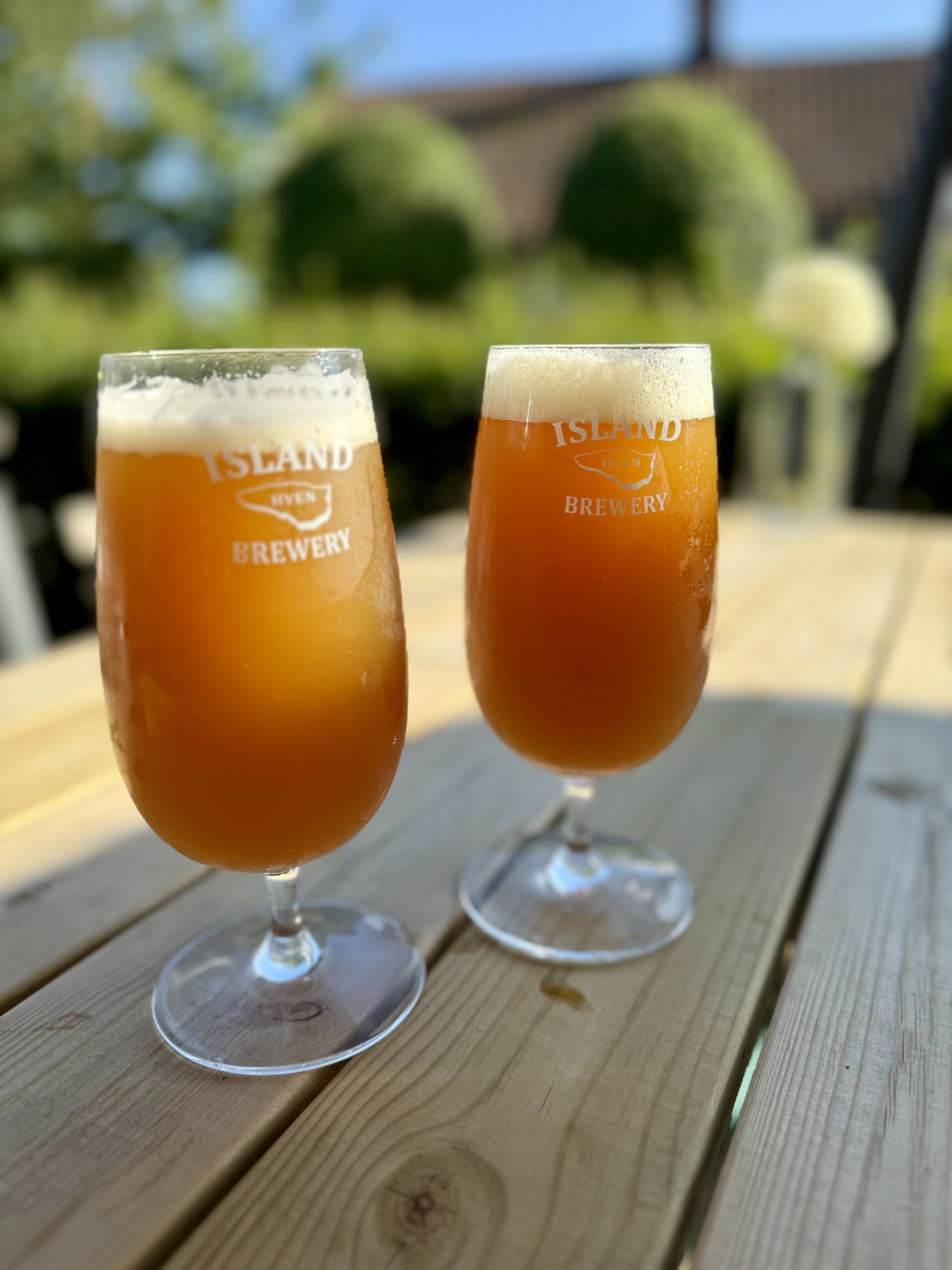 Du visar för närvarande Coastal Craft Ipa