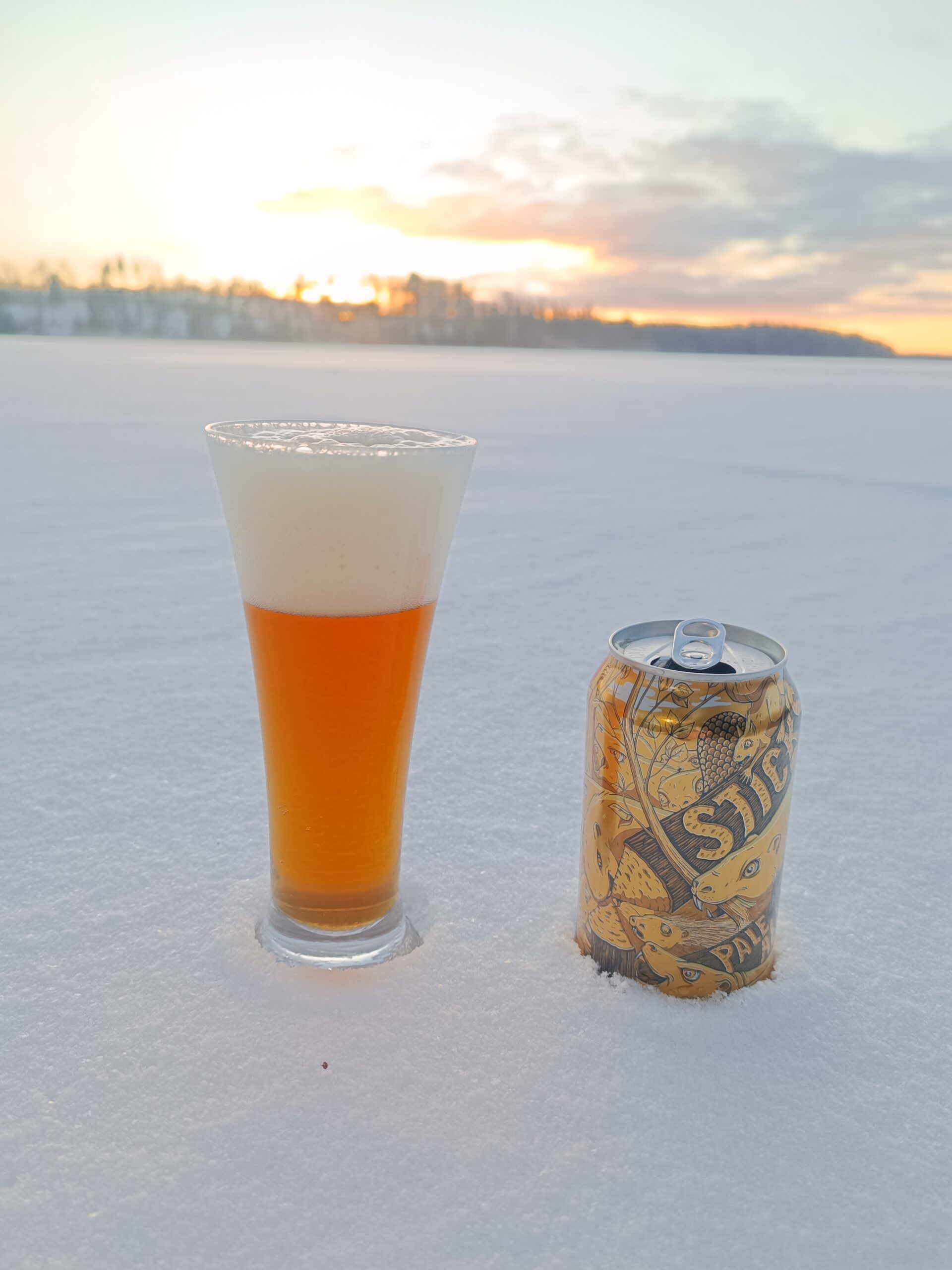 Läs mer om artikeln Stick’s pale ale