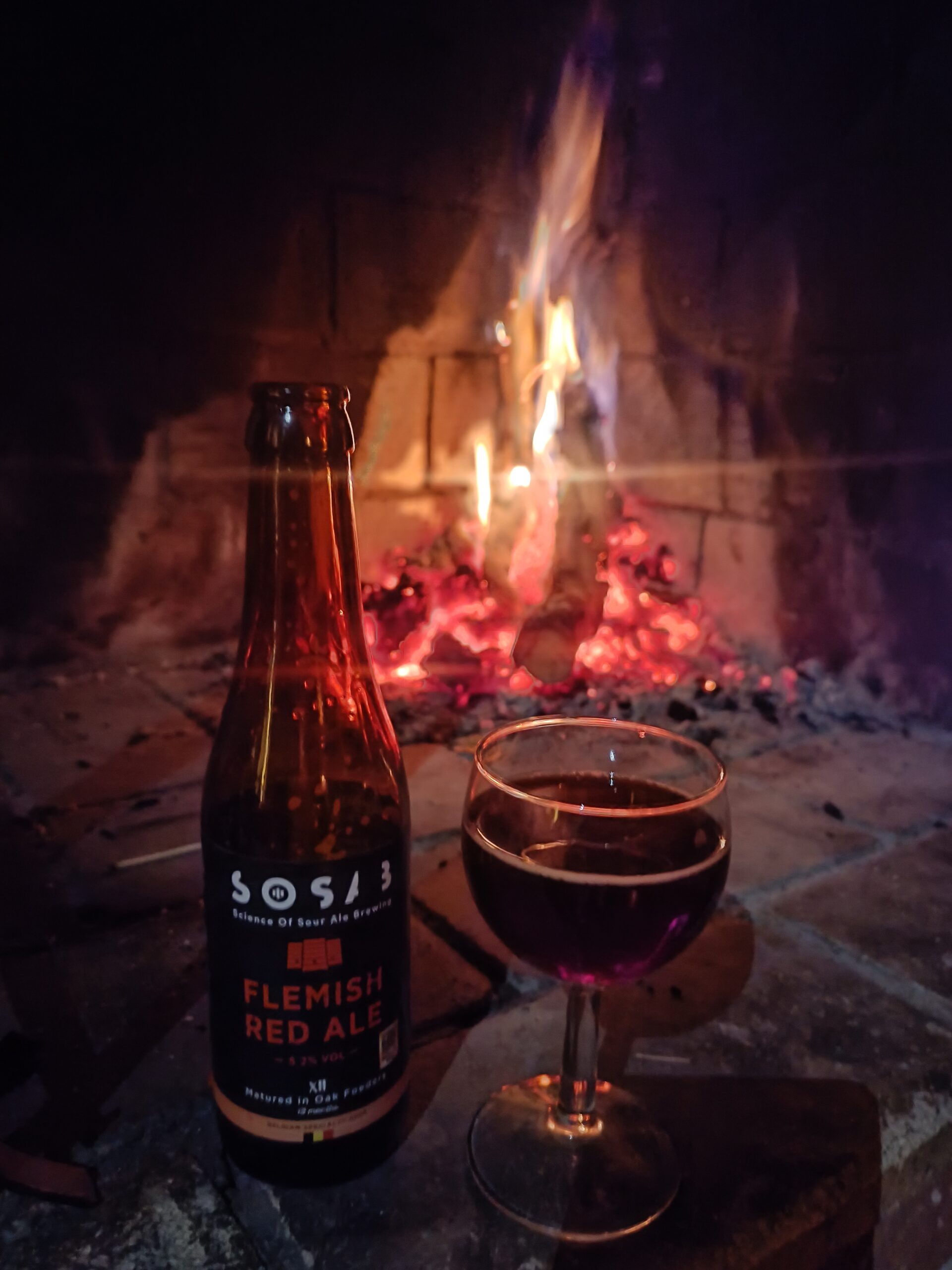Läs mer om artikeln SOSAB flemish red Ale XII