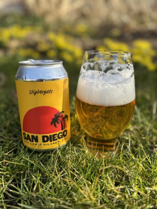 Läs mer om artikeln San Diego