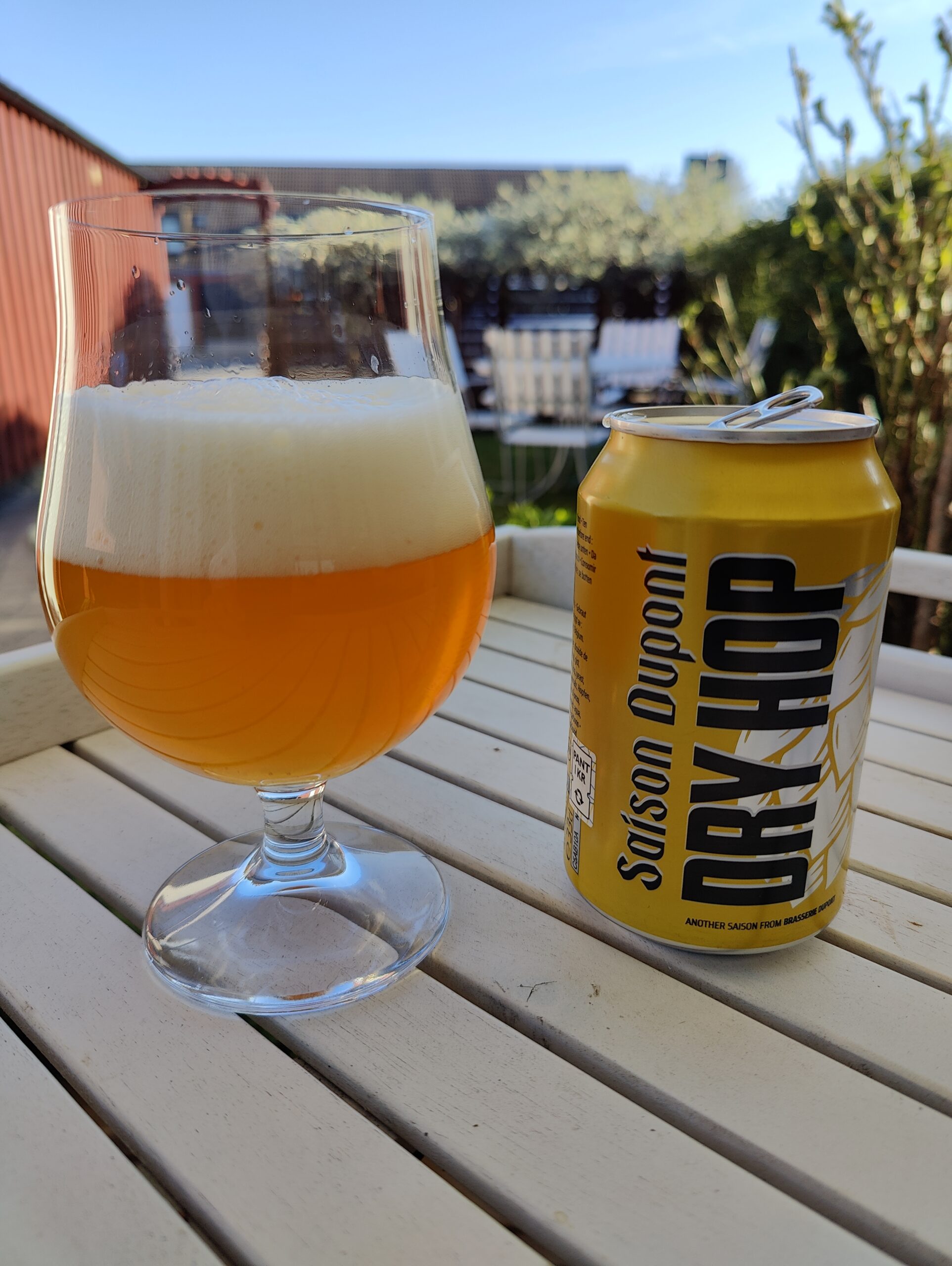 Du visar för närvarande Saison Dupont Dry Hop