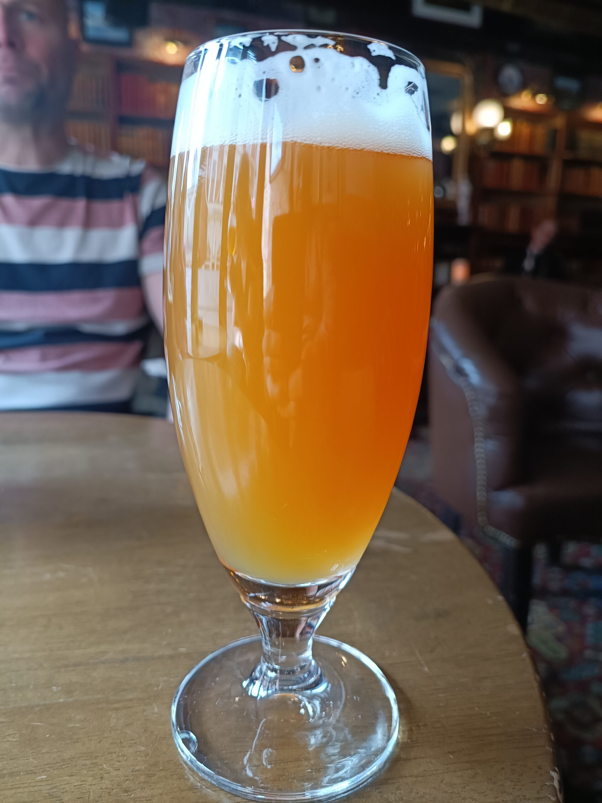 Läs mer om artikeln Skärgårds ipa