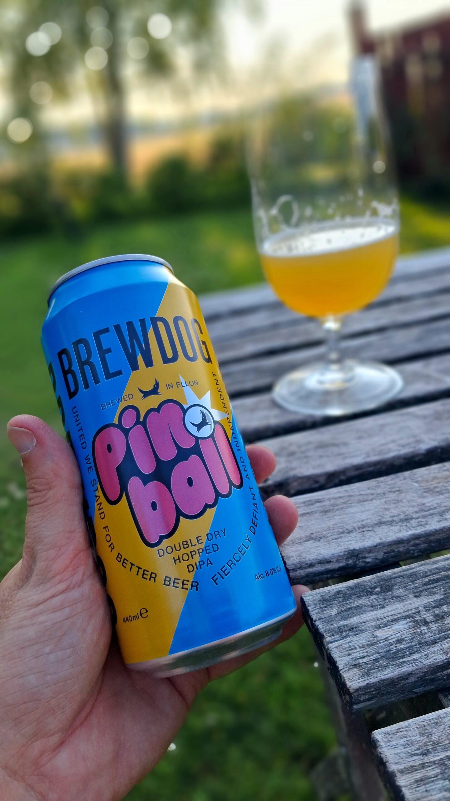 Du visar för närvarande  Pinball DIPA