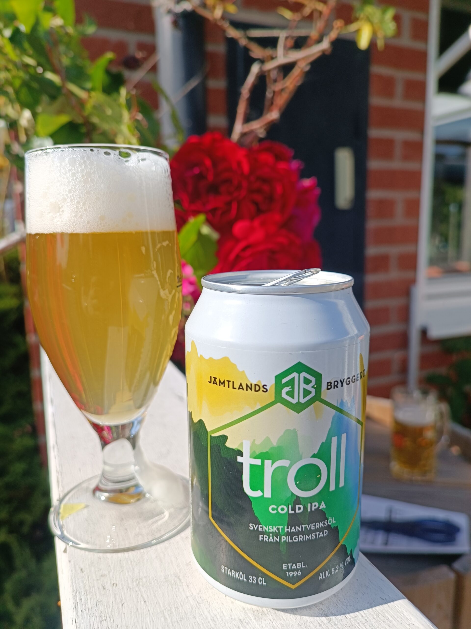 Läs mer om artikeln Troll