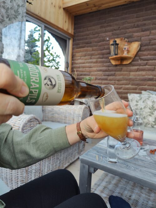 Läs mer om artikeln Nils Oscar Brödrapils