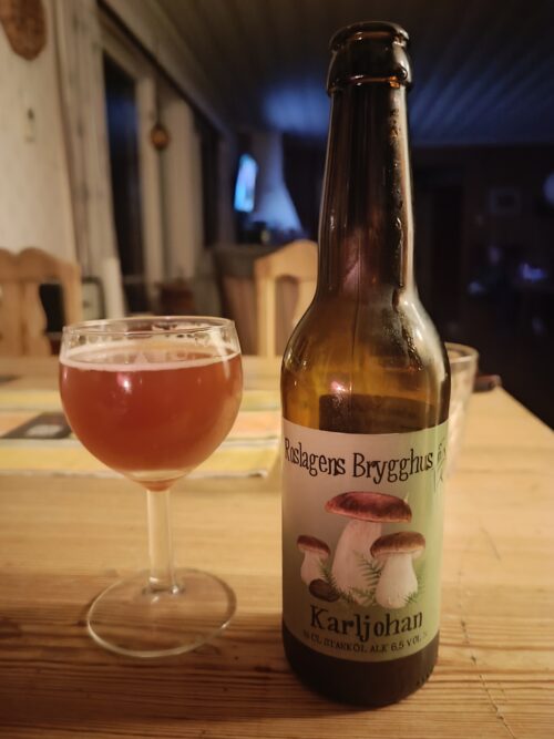 Läs mer om artikeln KarlJohan