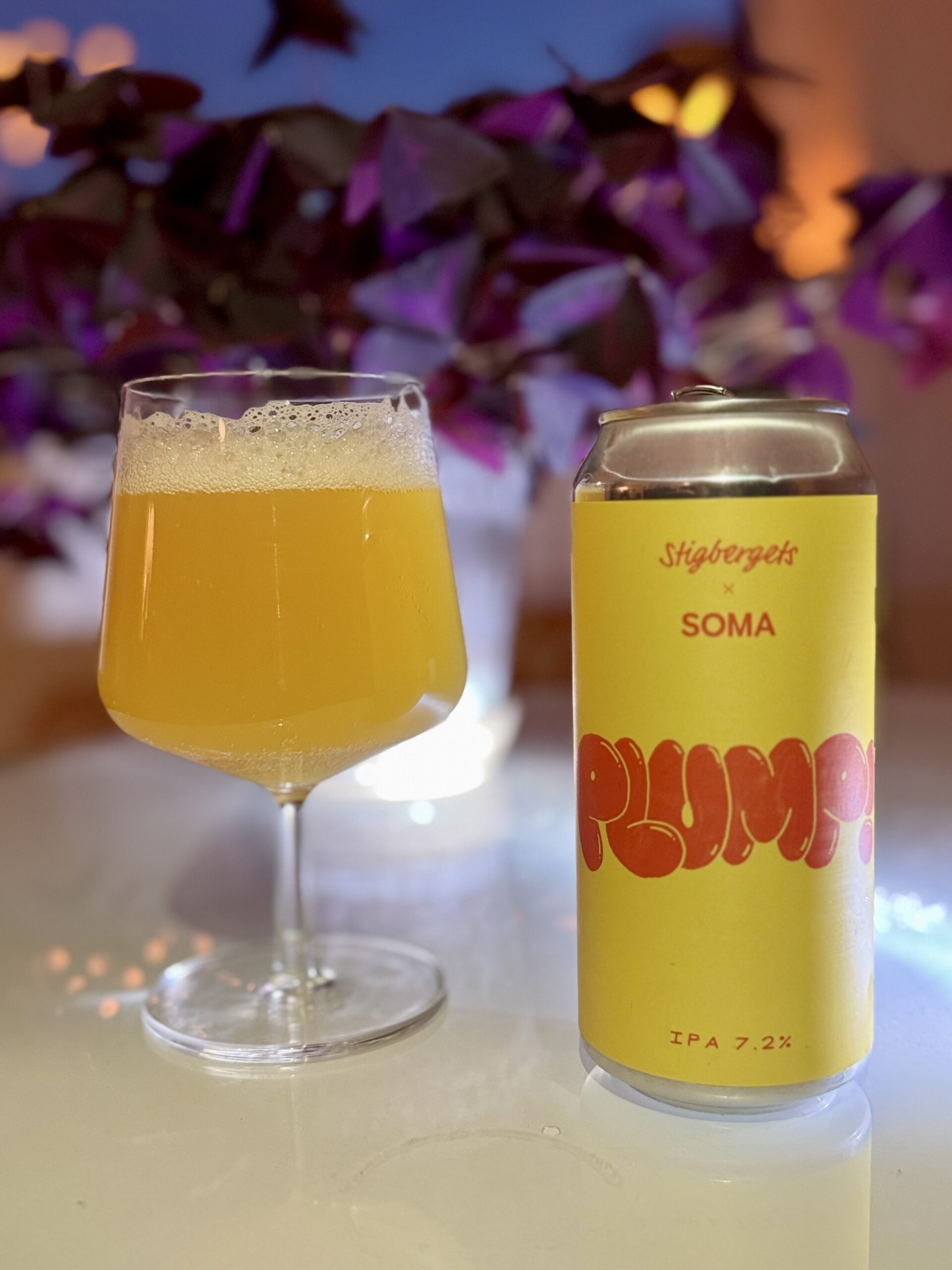 Läs mer om artikeln Plump!