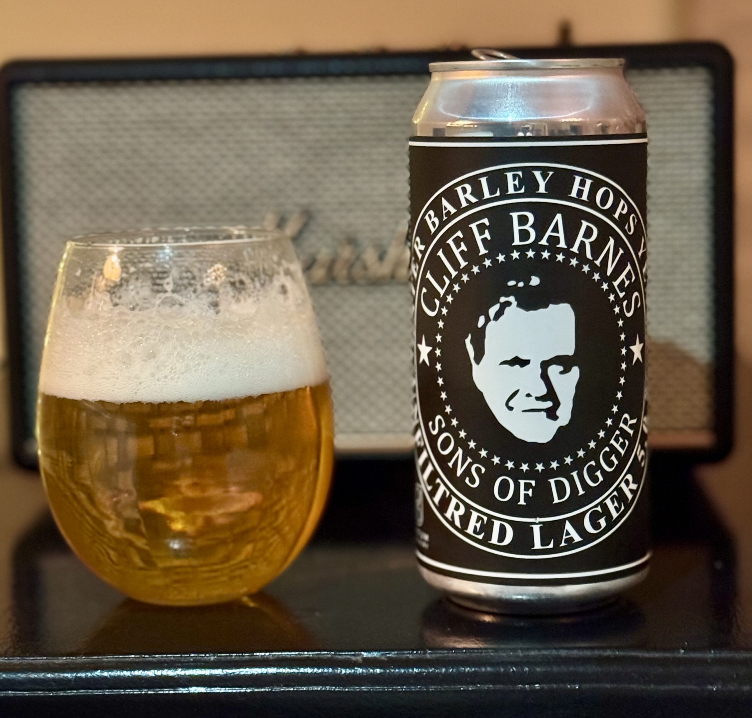 Läs mer om artikeln Sons of digger