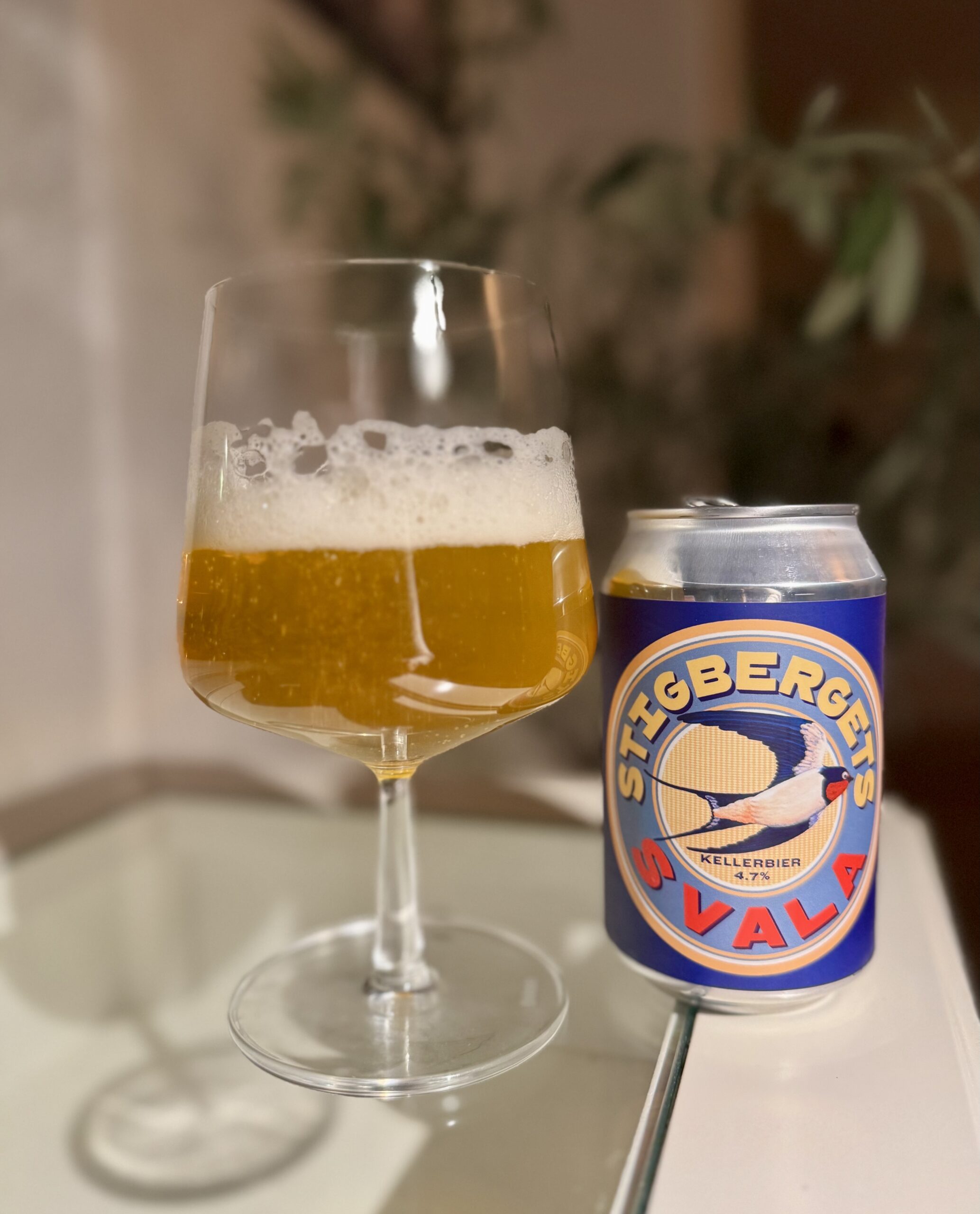 Läs mer om artikeln Svala