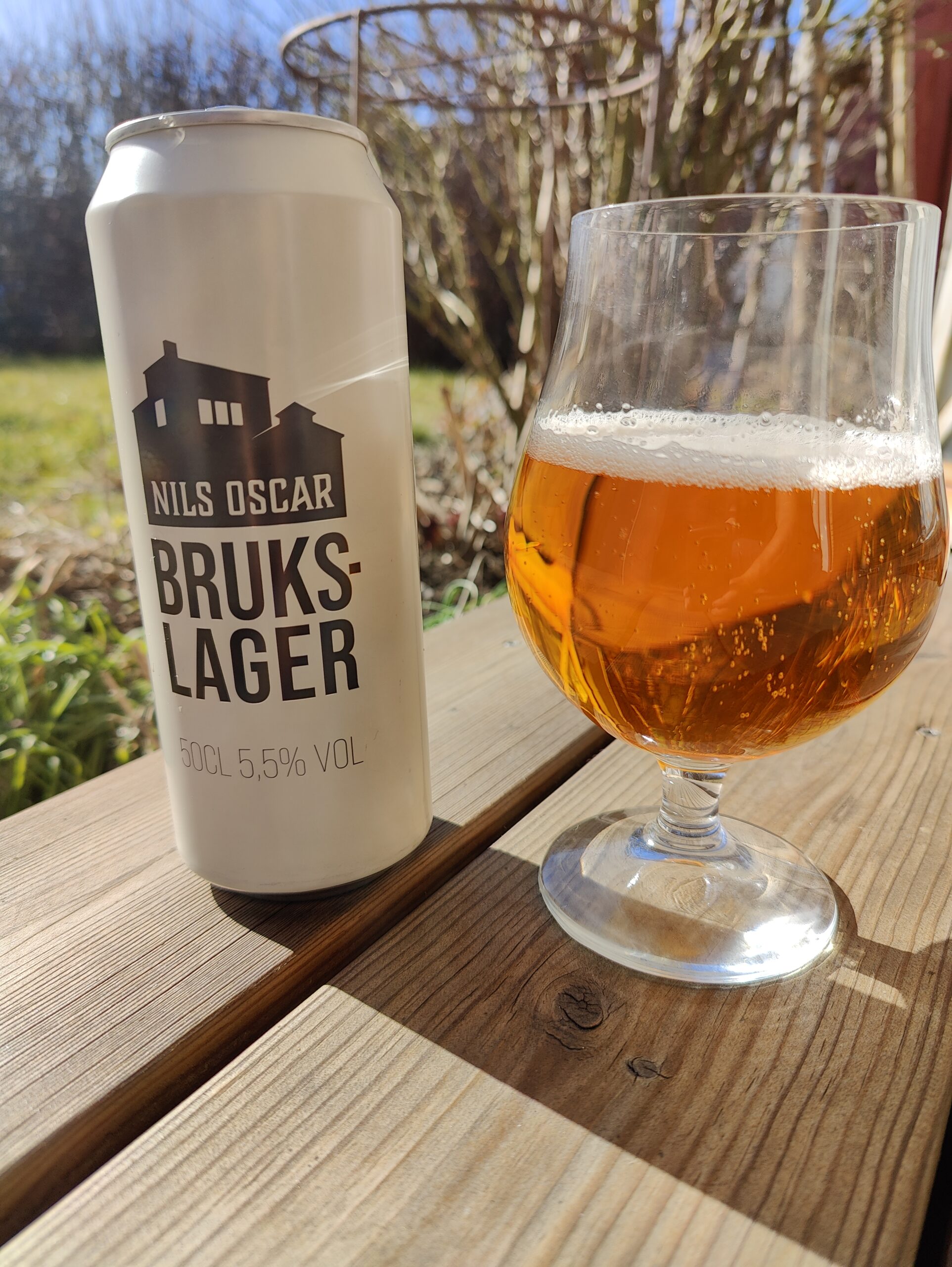 Läs mer om artikeln Nils Oscar Brukslager