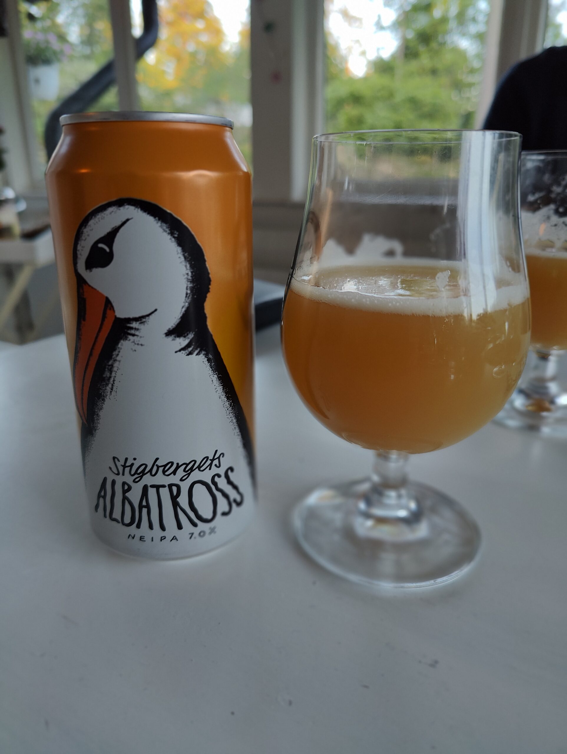 Läs mer om artikeln Stigbergets Albatross