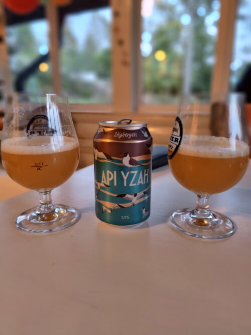 Läs mer om artikeln Stigbergets API YZAH