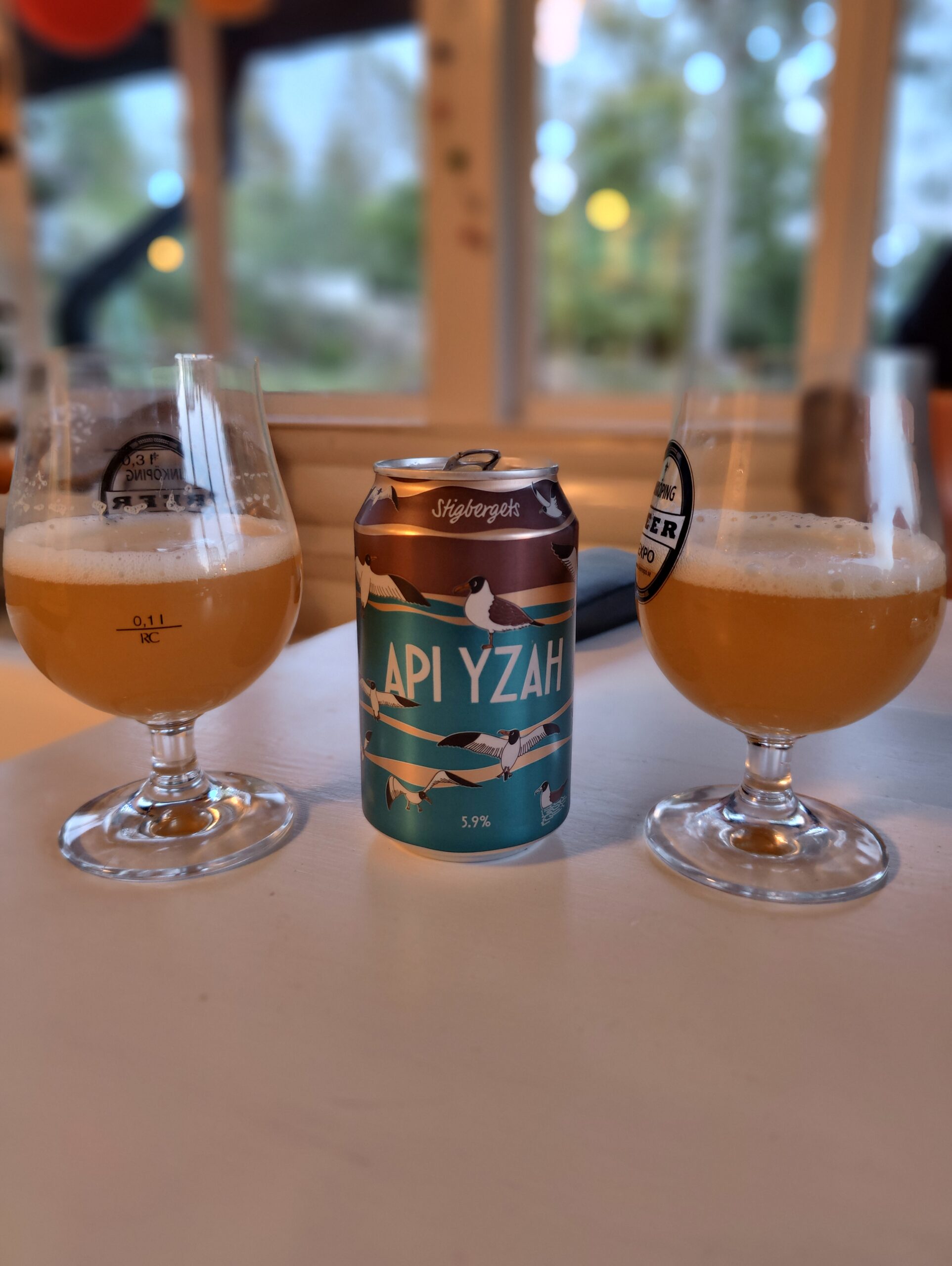 Läs mer om artikeln Stigbergets API YZAH