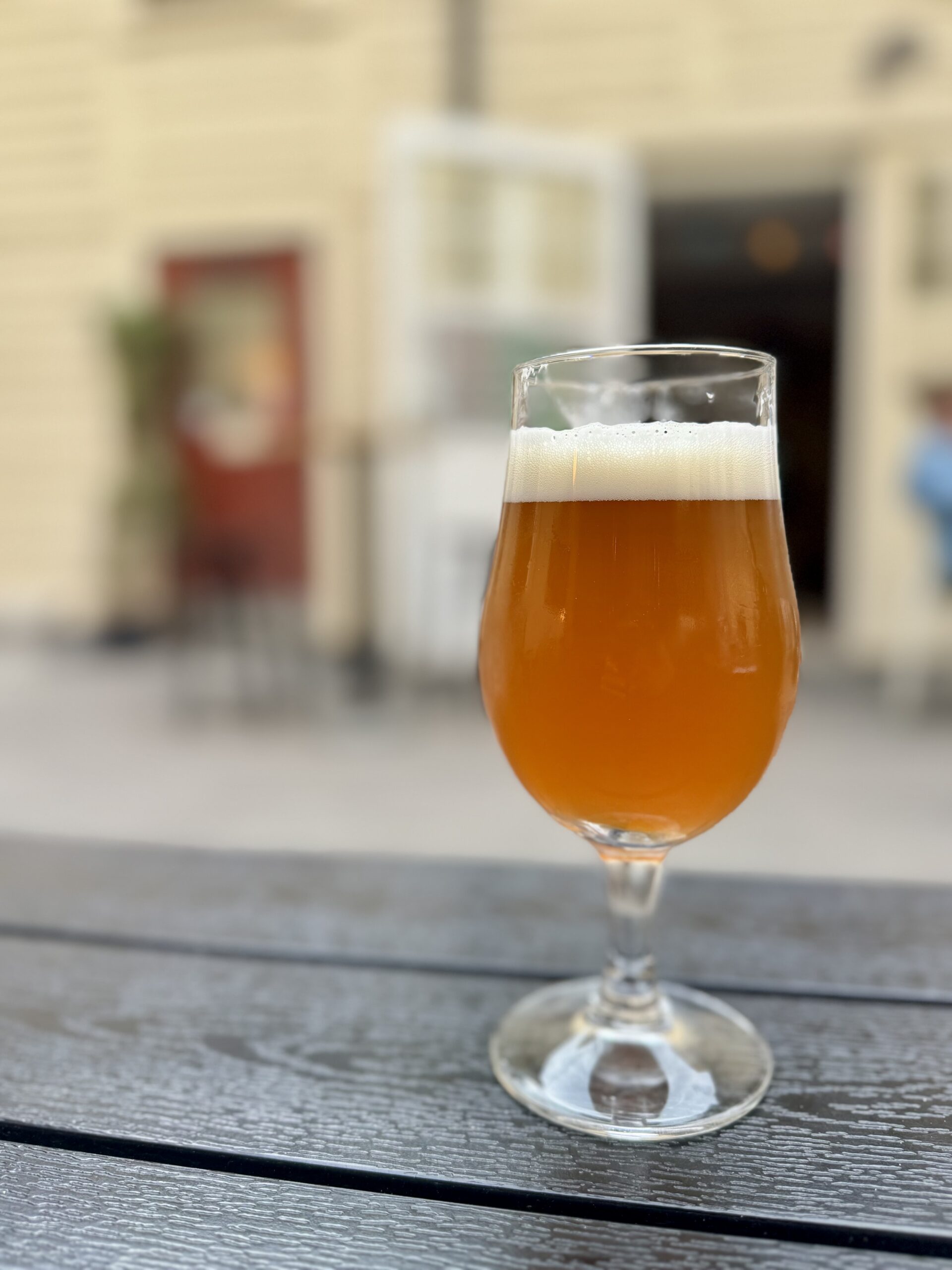 Läs mer om artikeln Sommar Ipa