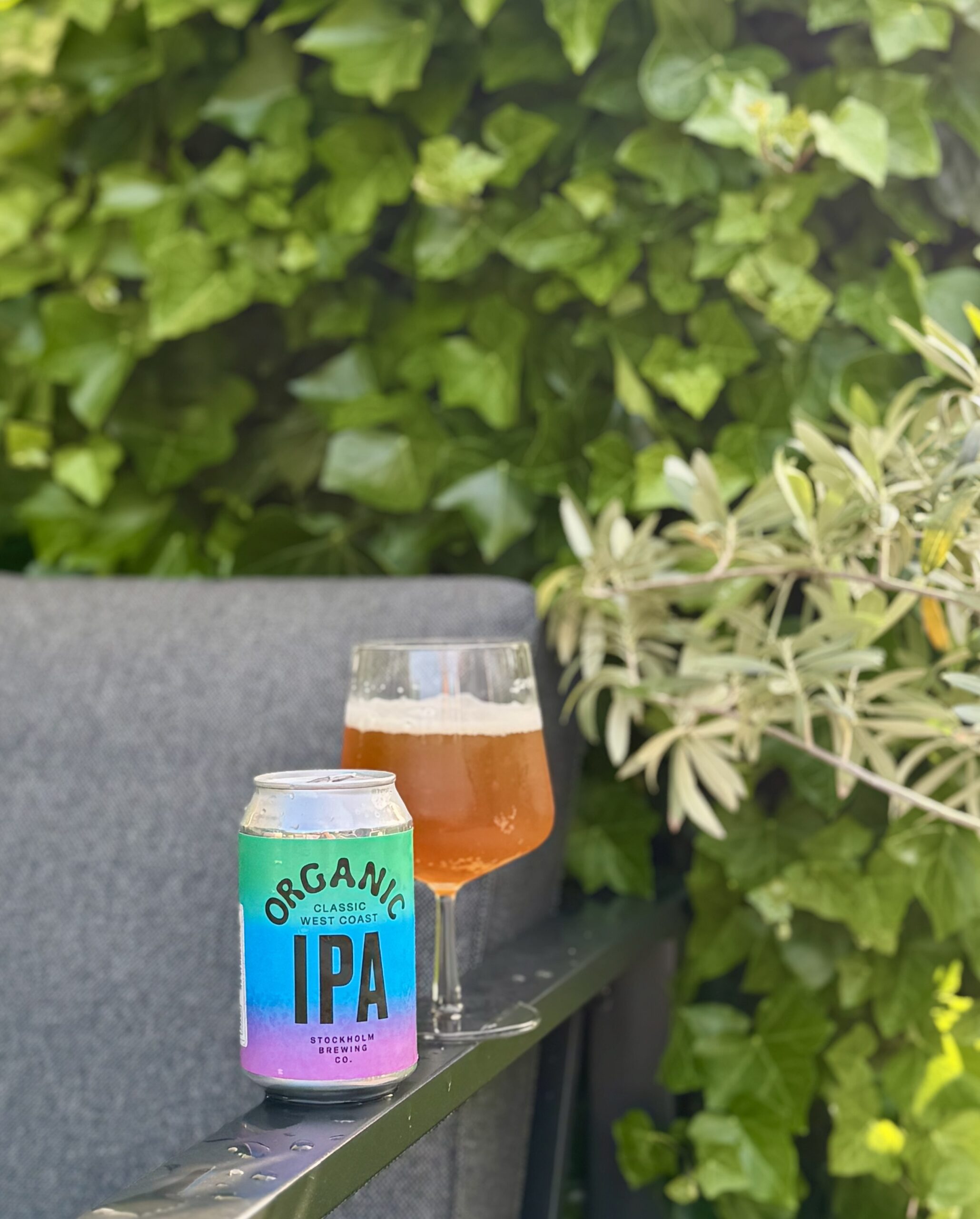 Läs mer om artikeln Organic West Coast IPA