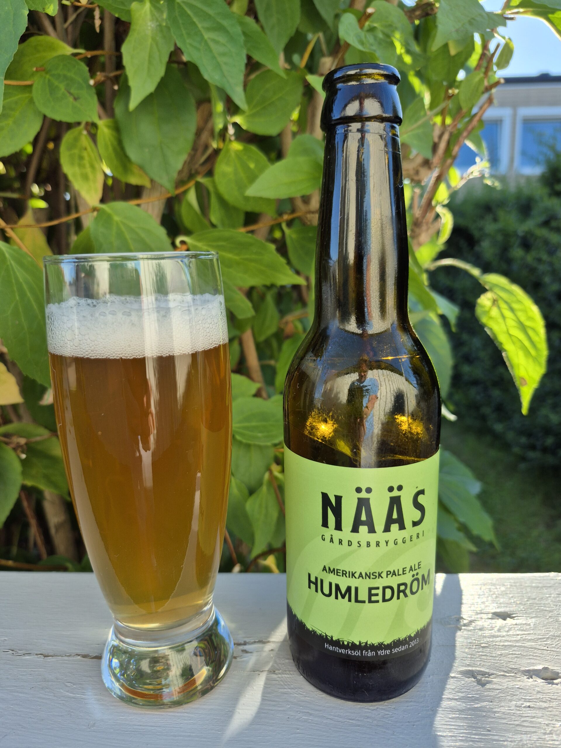 Läs mer om artikeln Humledröm