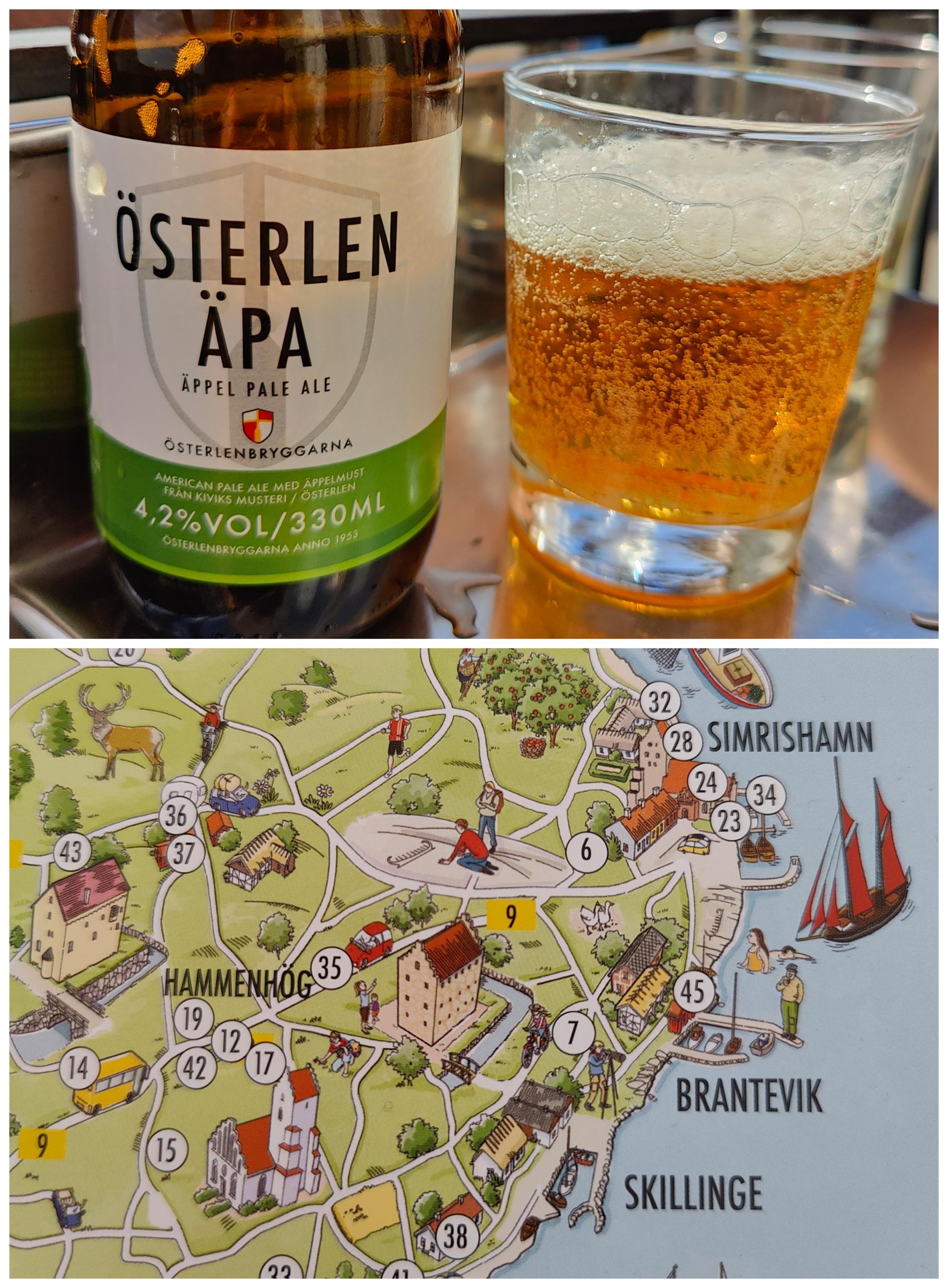 Läs mer om artikeln Österlen ÄPA Äppel Pale Ale